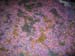 fdv2003s_058