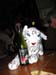 fdv2004_031