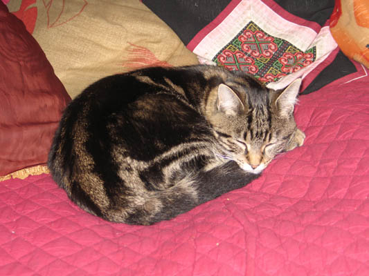 milchgirlparty_2005_107