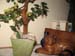 milchgirlparty_2005_047